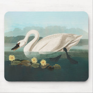 Tapis De Souris cygne audubon cygnes d'eau blanche