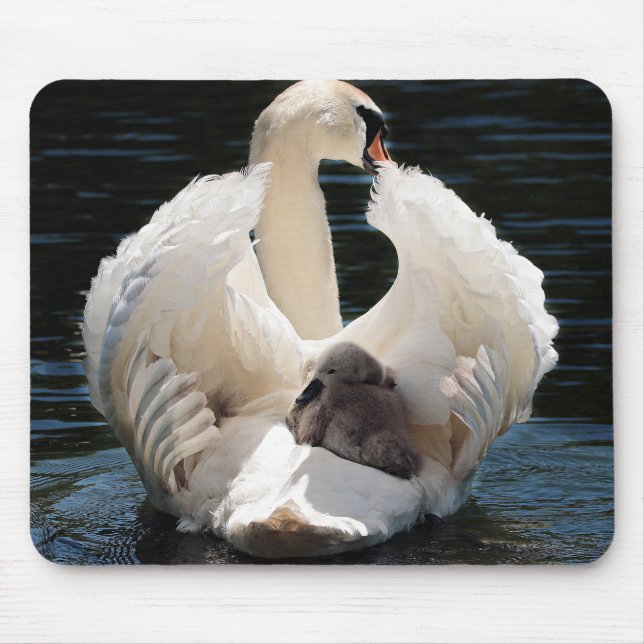 Tapis De Souris cygne bébé cygne blanc (Devant)