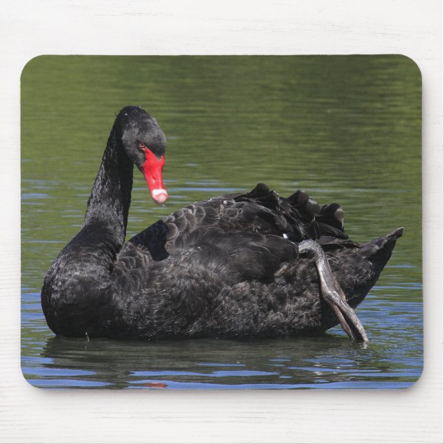 Tapis De Souris Cygne noir (Devant)