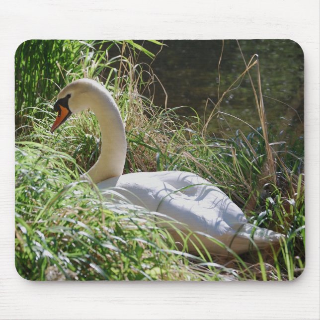 Tapis De Souris Cygne serein Mousepad (Devant)