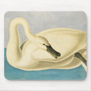 Tapis De Souris Cygne trompette par John James Audubon, Oiseau Vin