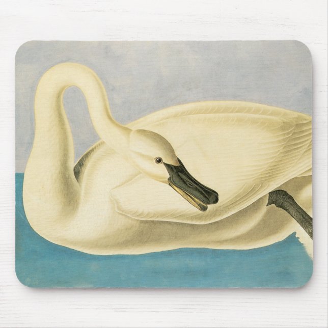 Tapis De Souris Cygne trompette par John James Audubon, Oiseau Vin (Devant)