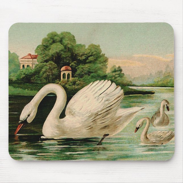Tapis De Souris Cygne vintage dans le lac (Devant)