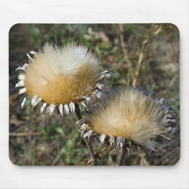 Tapis De Souris Cynara cardunculus (Devant)