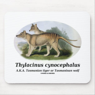 Tapis De Souris Cynocephalus de Thylacinus (tigre ou loup