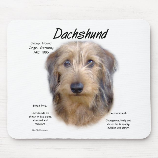 Tapis De Souris Dachshund (cheveux filaires) (Devant)