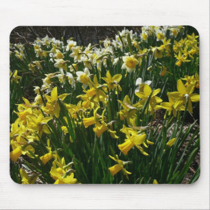 Tapis De Souris Daffodiles jaunes et blancs Fleurs de printemps
