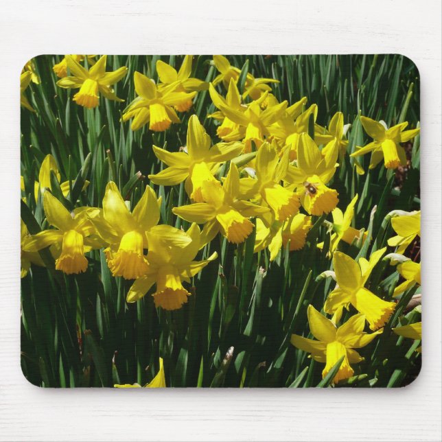 Tapis De Souris Daffodiles Jaunes I Fleurs De Printemps Cheveux (Devant)