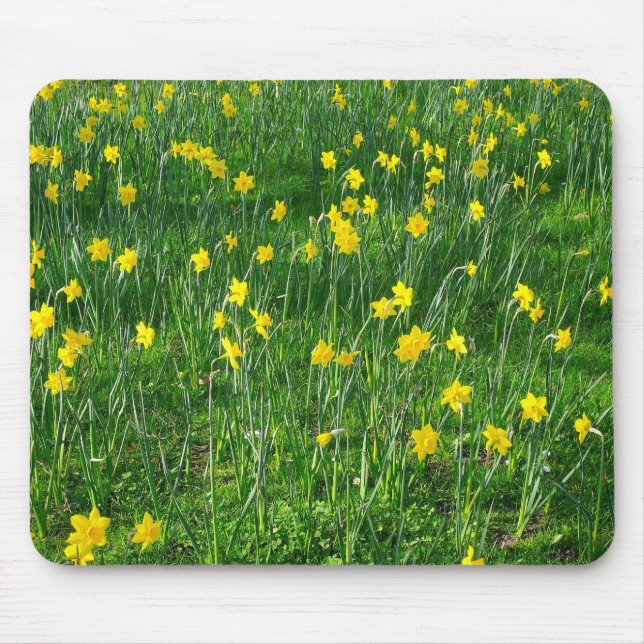 Tapis De Souris Daffodiles/Narcisse (Devant)