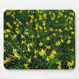 Tapis De Souris Daffodiles/Narcisse