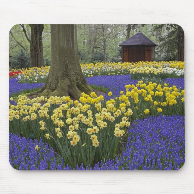 Tapis De Souris Daffodils, jacinthe de raisin et jardin de tulipes (Devant)