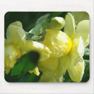 Tapis De Souris Daffodiques avec gouttelettes d'eau