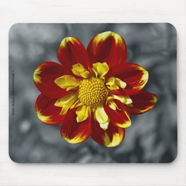 Tapis De Souris Dahlia (Devant)