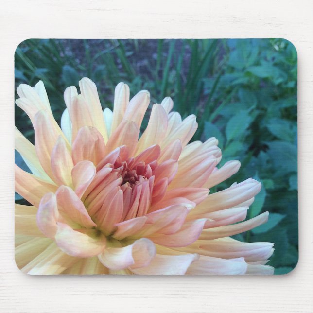 Tapis De Souris Dahlia B : Jaune et saumon — (Devant)