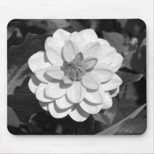 Tapis De Souris Dahlia 'David Howard' B&W