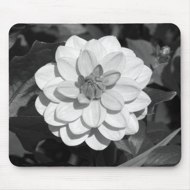 Tapis De Souris Dahlia 'David Howard' B&W (Devant)