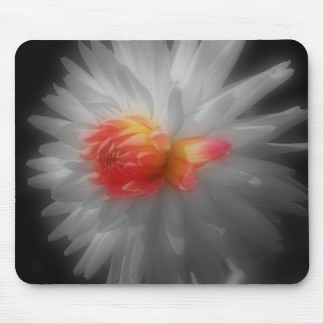 Tapis De Souris Dahlia Gros Fleur Noir Blanc Mousepad (Devant)