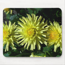 Dahlia Lakeview Llow #1 Panier de souris