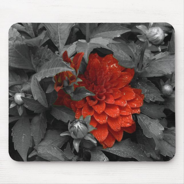Tapis De Souris Dahlia-mousepad (Devant)