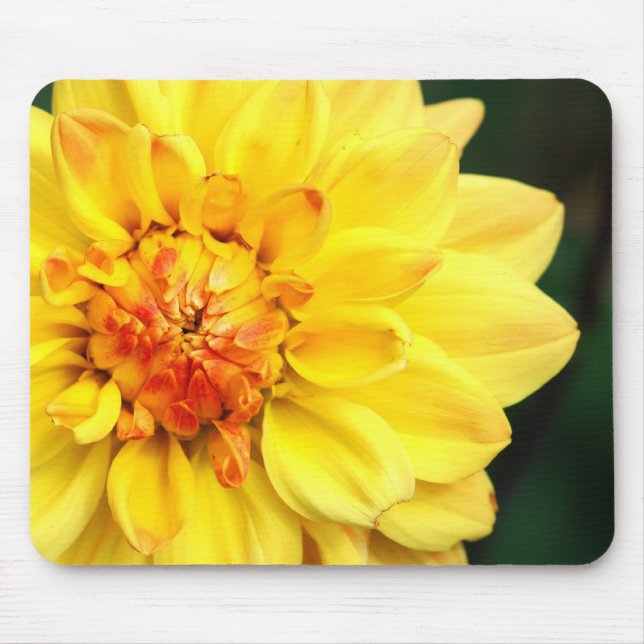 Tapis De Souris Dahlia Mousepad jaune (Devant)