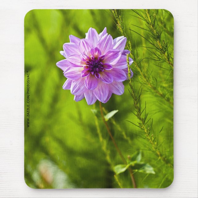 Tapis de souris Dahlia rose, effet aquarelle (Devant)