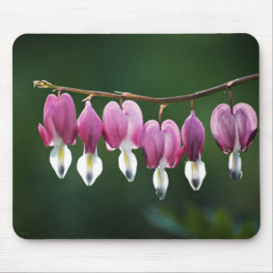 Tapis De Souris Dainty Hearts Mousepad