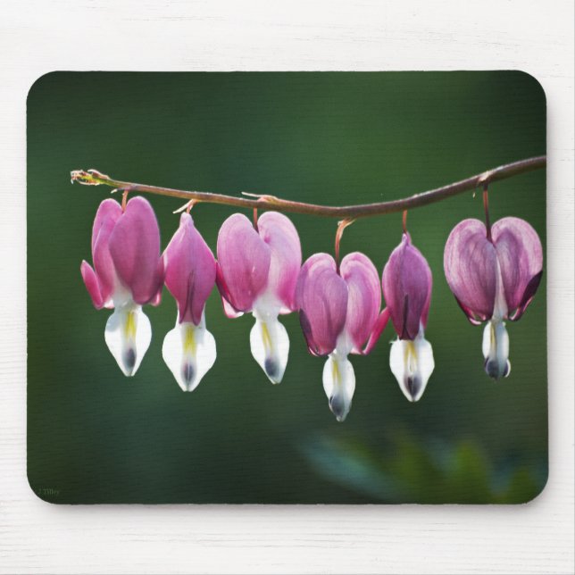 Tapis De Souris Dainty Hearts Mousepad (Devant)