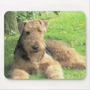 Tapis de souris d'Airedale Terrier