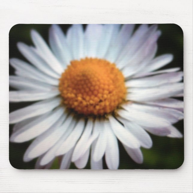 Tapis De Souris Daisy 1 Mousepad (Devant)