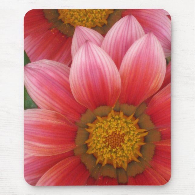 Tapis De Souris Daisy africain (Devant)