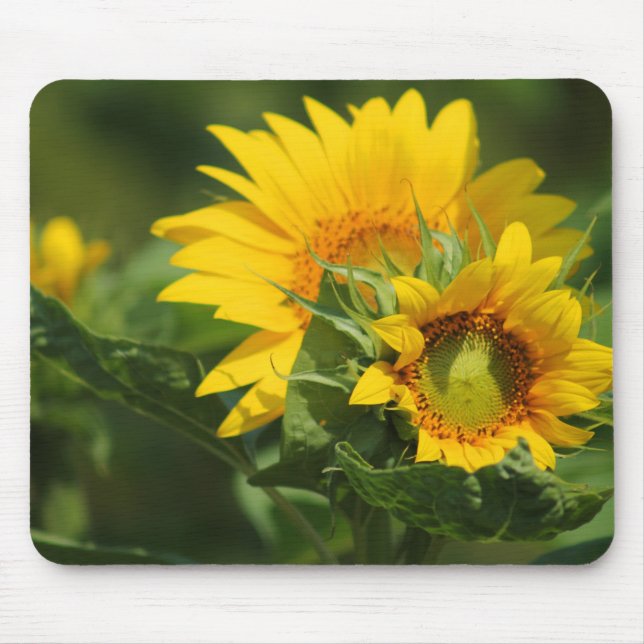 Tapis De Souris Daisy Mousepad - HAMbyWhiteGlove (Devant)