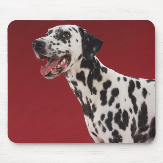 Tapis De Souris Dalmatien (Devant)