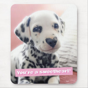 Tapis De Souris Dalmatien Nez en Coeur