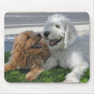 Tapis de souris d'amis de Goldendoodle