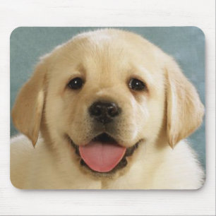 Tapis de souris d'amour de chiot Retriever Labrado