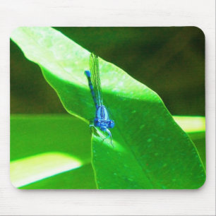 Tapis De Souris Damselfly