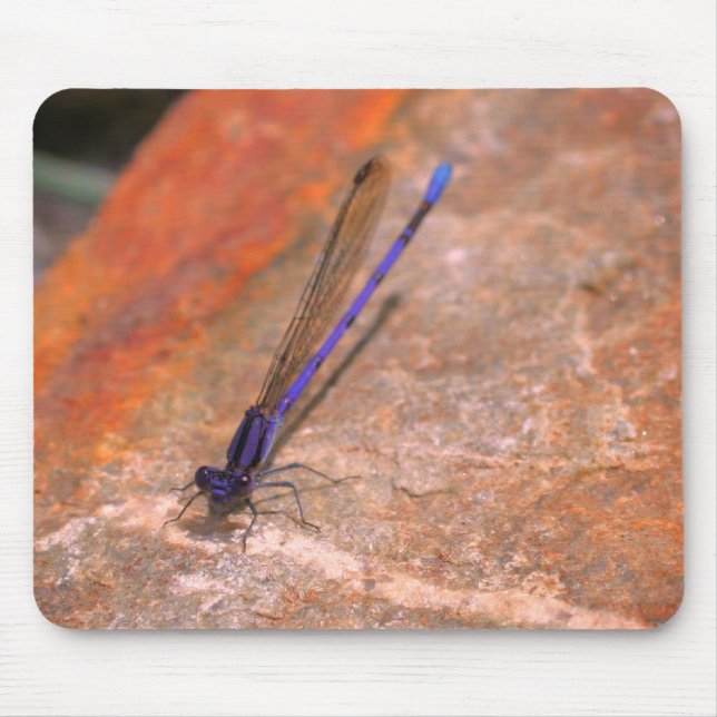 Tapis De Souris Damselfly Dragonfly Nature (Devant)