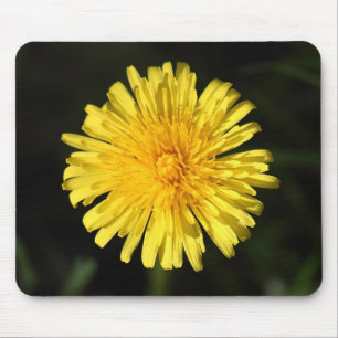 Tapis De Souris Dandelion