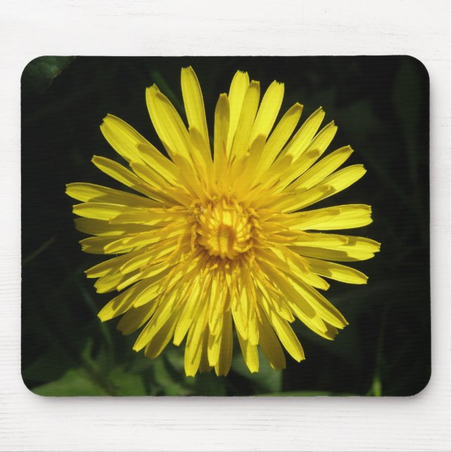 Tapis De Souris Dandelion Mousepad (Devant)