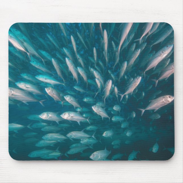 Tapis De Souris Dans les crics (Devant)