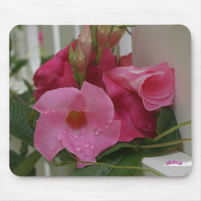 Tapis De Souris Dans M_70 rose Mousepad (Devant)
