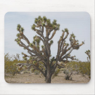 Tapis de souris d'arbre de Joshua