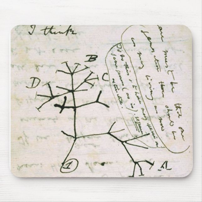 Tapis De Souris Darwin (Devant)