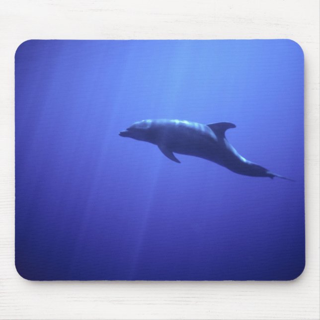 Tapis De Souris Dauphin (Devant)