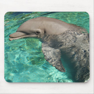 Tapis De Souris Dauphin 2