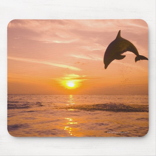 Tapis De Souris Dauphin à col blanc 2 (Devant)