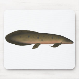 Tapis De Souris Dauphin australien