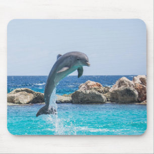 Tapis De Souris Dauphin de Bottlenose