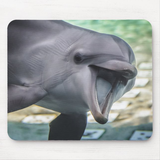 Tapis De Souris Dauphin des images | de Getty (Devant)