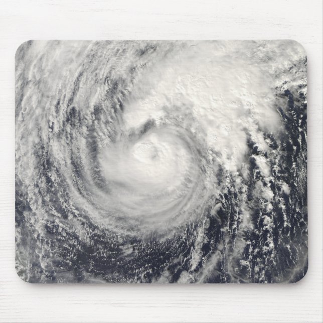 Tapis De Souris Dauphin du typhon dans la mer des Philippines (Devant)